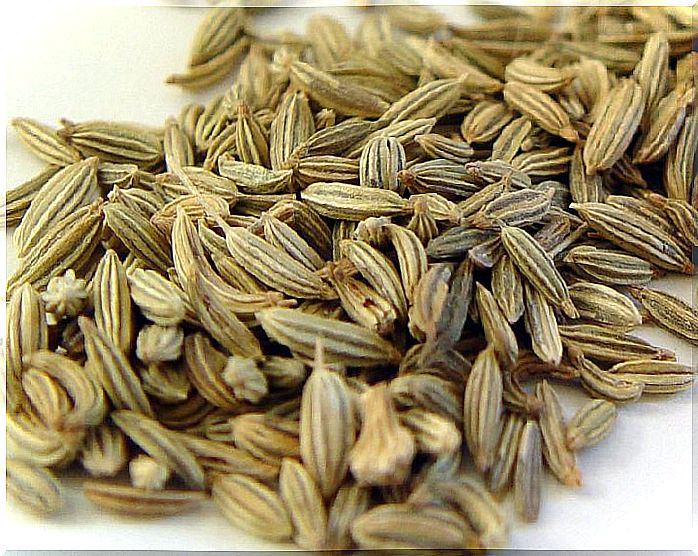 Fennel masks