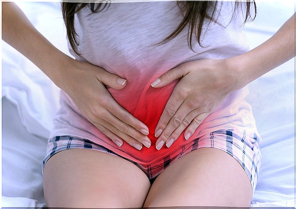 Chamomile and parsley remedy for amenorrhea or lack of menstruation