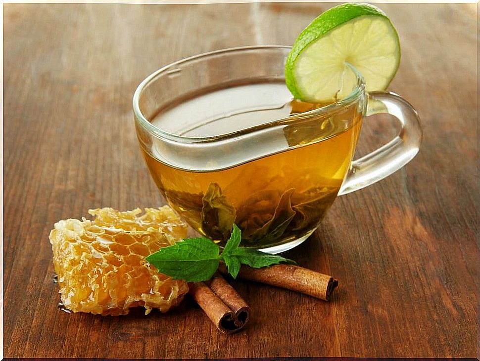 Mint and cinnamon infusion