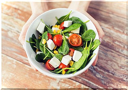 Plate of salad