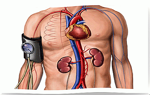 Dehydration and blood circulation