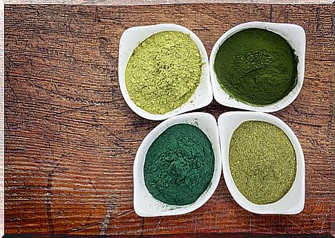 Dishes with spirulina