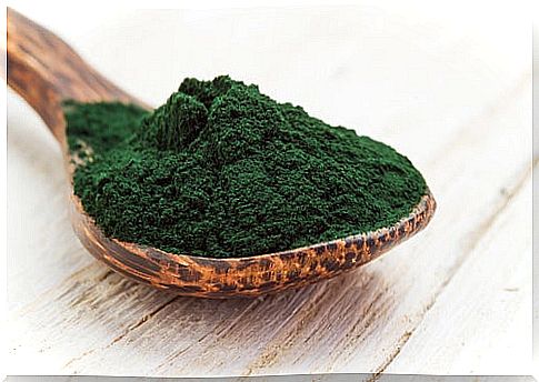 Spoon with spirulina powder