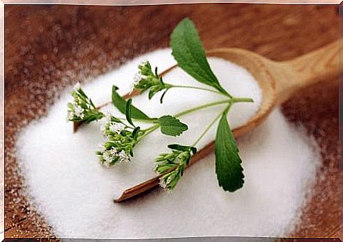 Stevia leaves in a spoon