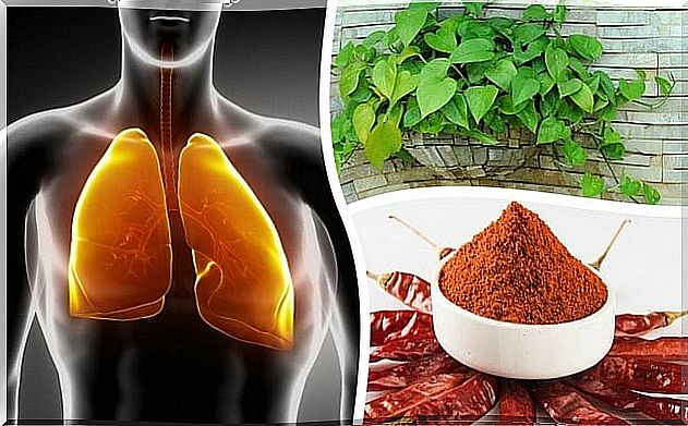 How to clean the lungs and bronchi