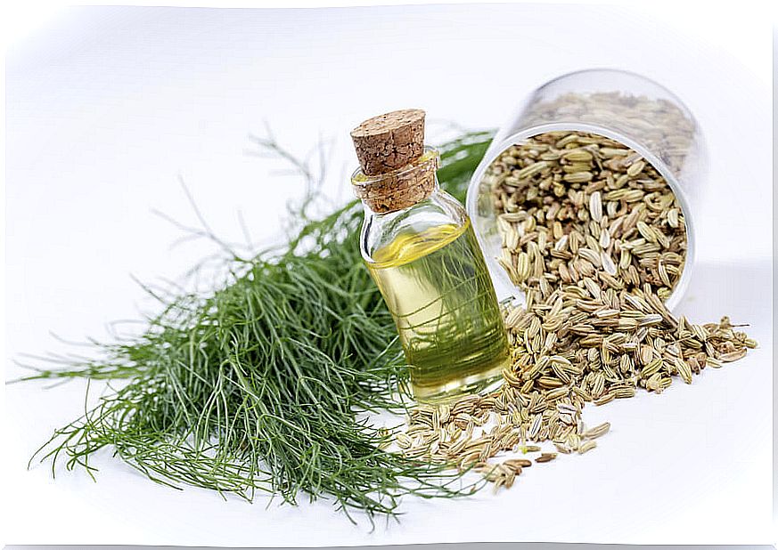 Fennel oil