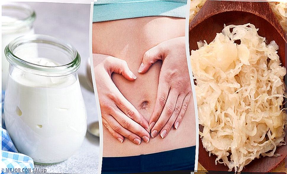 Probiotic foods for your intestinal flora