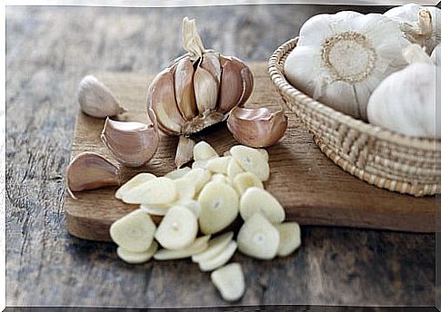 Garlic